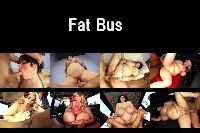 Fat Bus