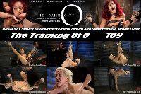 The Training of O 109