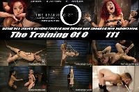 The Training of O 111