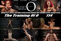 The Training of O 114