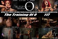 The Training of O 117
