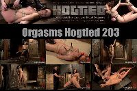 Orgsms Hogtied 203