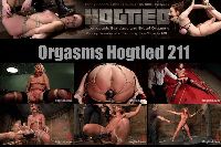 Orgsms Hogtied 211