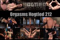 Orgsms Hogtied 212