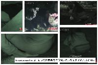 tecnicomaster ヨーロッパの音楽祭で放尿している女の子をスパイ 017