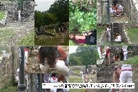 tecnicomaster ヨーロッパの音楽祭で放尿している女の子をスパイ 062