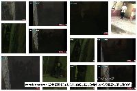 tecnicomaster 音楽祭で排尿している酔っ払った若い女性を撮影しました089