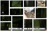 tecnicomaster 音楽祭で排尿している酔っ払った若い女性を撮影しました090