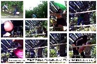 tecnicomaster 音楽祭で排尿している酔っ払った若い女性を撮影しました190