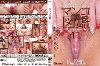 マンコ図鑑 11