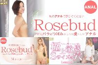 金8天国 それはバラのつぼみのような愛らしいアナル Rosebud Liona リオナ+Rosebud Monroe モンロー+極上敏感Sサイズの穴 キュッキュッと吸い付くマンコと尻穴 Lunnie ロニー